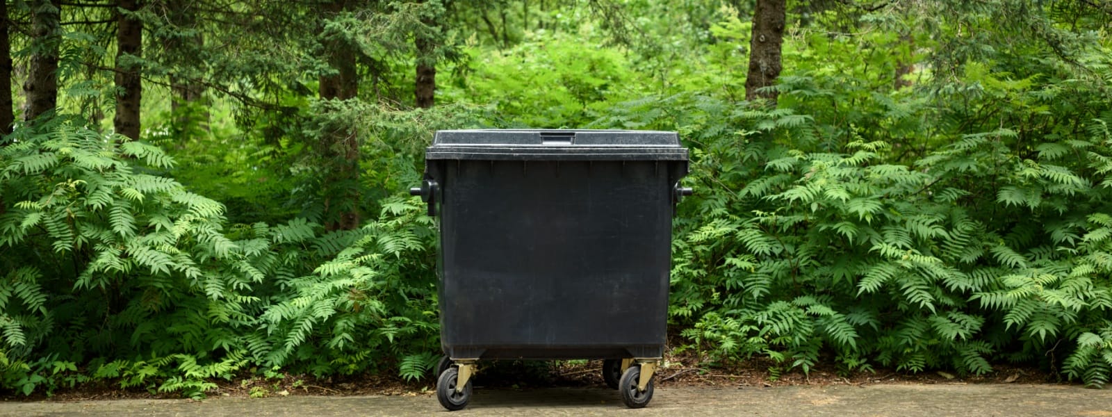 Trash Container Rental Naperville, IL